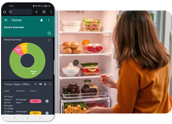 real time temperature monitoring system