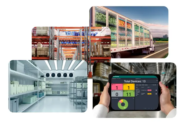 How IoT Monitoring Is Revolutionizing Cold Chain Logistics