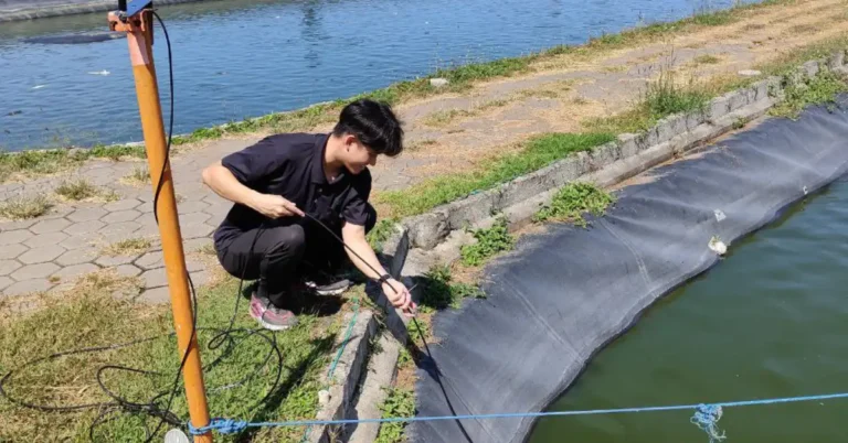 man lowering water quality probe into fish pond